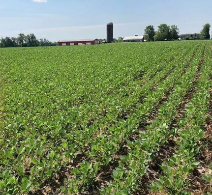 Farm Property in Richland County, Illinois