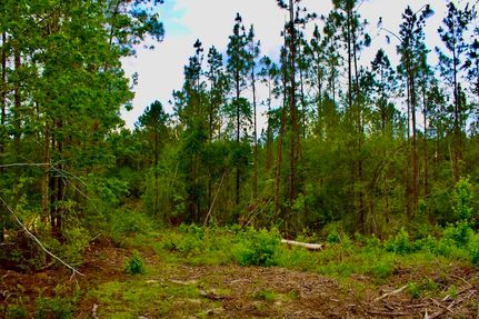 Farm Property for sale in Walthall County, Mississippi