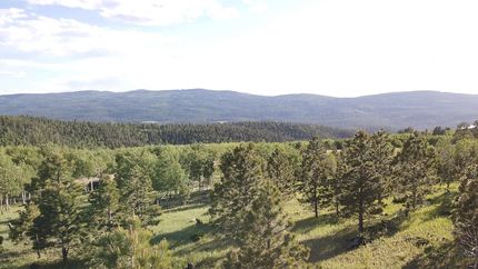 Farm Property for sale in Colfax County, New Mexico