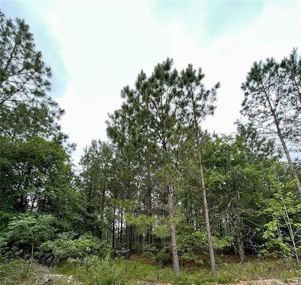Timberland Property for sale in McCurtain County, Oklahoma