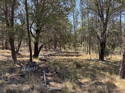 Farm Property for sale in Otero County, New Mexico