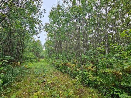 Farm Property for sale in Iron County, Michigan