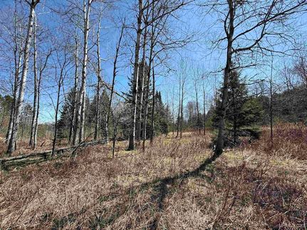 Recreational Property for sale in Iron County, Michigan