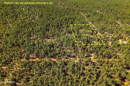 Undeveloped Land for sale in Navajo County, Arizona
