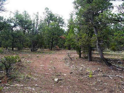 Ranch Property for sale in Cibola County, New Mexico