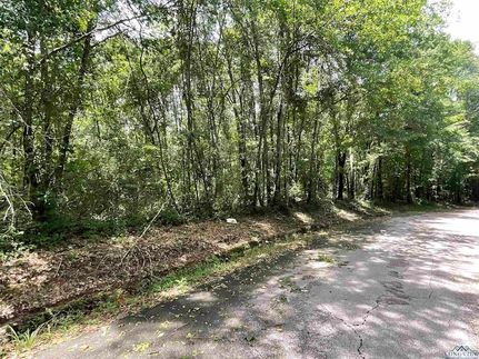 Ranch Property for sale in Panola County, Texas