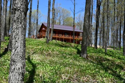 Residential Property for sale in Dickinson County, Michigan