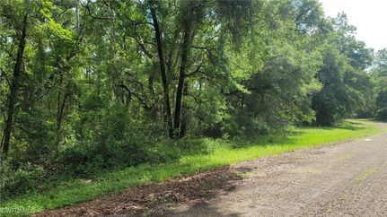 Ranch Property for sale in Citrus County, Florida