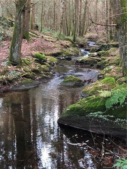 Ranch Property for sale in Litchfield County, Connecticut