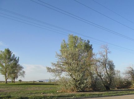 Farm Property for sale in Beaver County, Utah