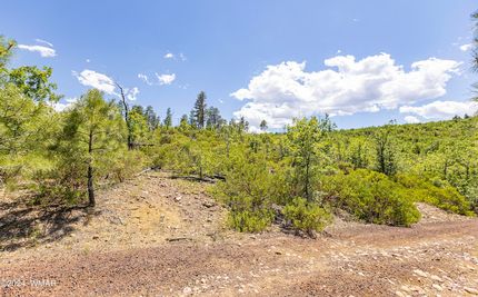 Farm Property for sale in Navajo County, Arizona