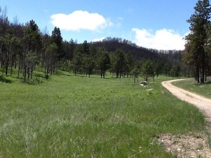 Undeveloped Land for sale in Custer County, South Dakota