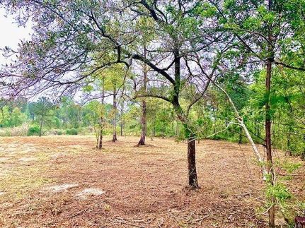 Farm Property for sale in Baldwin County, Alabama