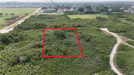 Undeveloped Land for sale in Nueces County, Texas