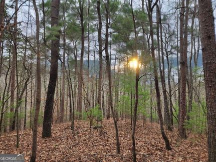 Farm Property for sale in Gilmer County, Georgia