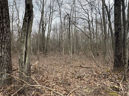 Ranch Property for sale in Monroe County, Pennsylvania