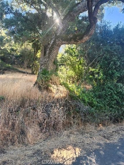 Farm Property for sale in El Dorado County, California