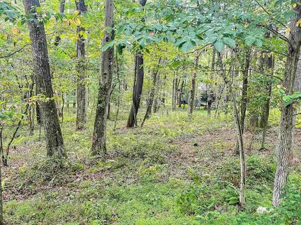 Recreational Property for sale in Preston County, West Virginia