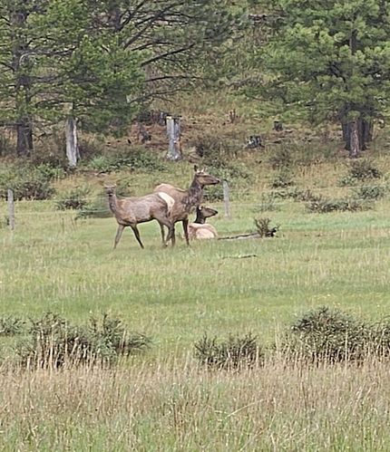 Farm Property for sale in Fergus County, Montana