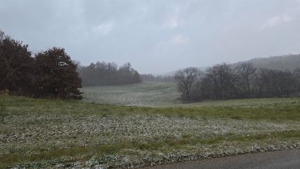 Undeveloped Land for sale in Grant County, Wisconsin