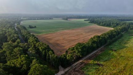 Farm Property for sale in Bamberg County, South Carolina