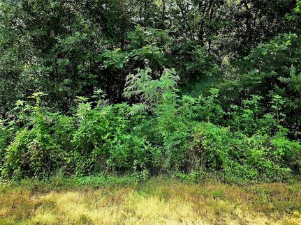 Farm Property for sale in Brazoria County, Texas