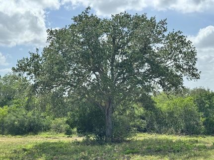 Farm Property for sale in Bee County, Texas
