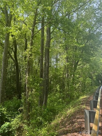 Undeveloped Land for sale in Dinwiddie County, Virginia
