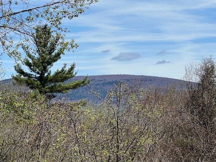 Residential Property for sale in Bennington County, Vermont
