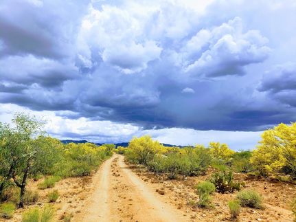 Timberland Property for sale in Pima County, Arizona