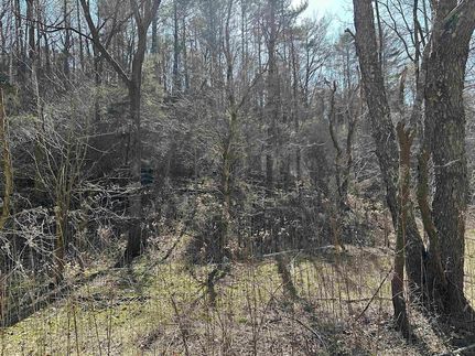 Recreational Property for sale in Giles County, Virginia
