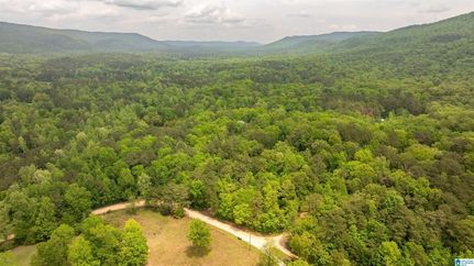 Undeveloped Land for sale in Shelby County, Alabama