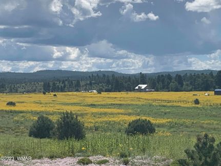 Farm Property for sale in Navajo County, Arizona