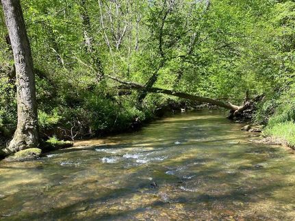 Undeveloped Land for sale in Cullman County, Alabama