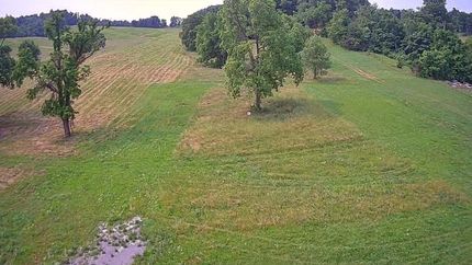 Farm Property for sale in Bedford County, Tennessee