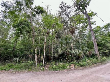 Residential Property for sale in Osceola County, Florida