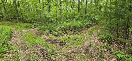 Ranch Property for sale in Worcester County, Massachusetts