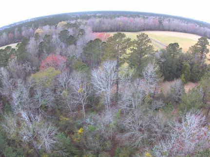 Recreational Property for sale in Georgetown County, South Carolina