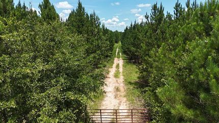 Farm Property for sale in Worth County, Georgia