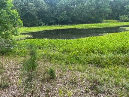 Undeveloped Land for sale in Grimes County, Texas