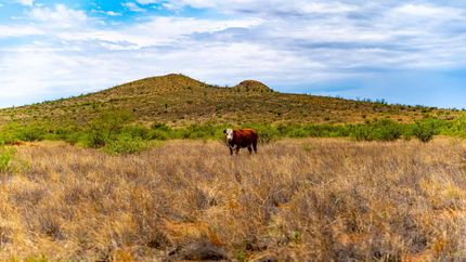 Ranch Property for sale in Cochise County, Arizona