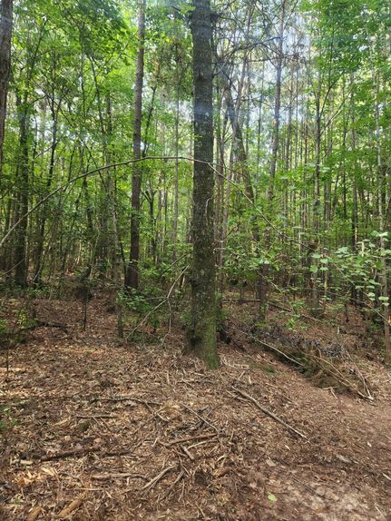Property for sale in Monroe County, Georgia