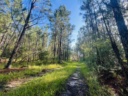 Recreational Property for sale in Montgomery County, Georgia