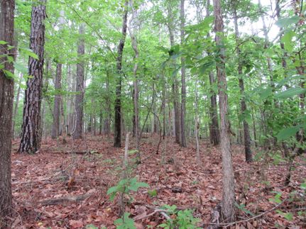 Farm Property for sale in Winston County, Alabama