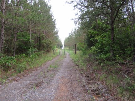 Residential Property for sale in Winston County, Alabama