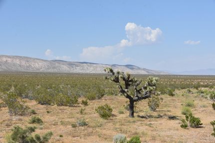 Farm Property for sale in Kern County, California