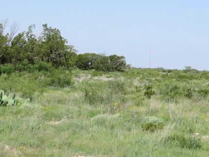 Commercial Property for sale in Terrell County, Texas