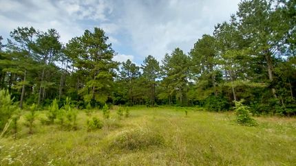 Farm Property for sale in Polk County, Texas