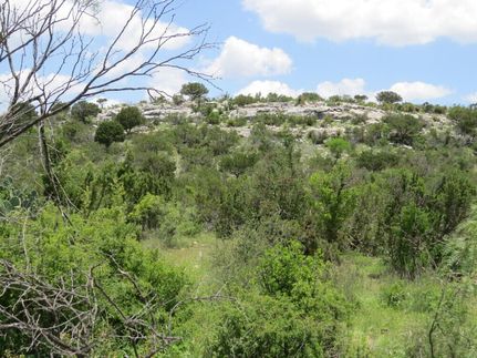 Property for sale in Terrell County, Texas