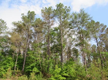 Recreational Property for sale in Winston County, Alabama